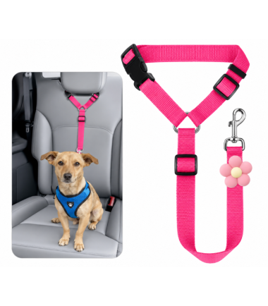 cinturon-para-carro-perros-gatos-costa-rica