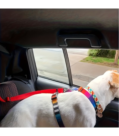 cinturon-para-carro-perros-gatos-costa-rica