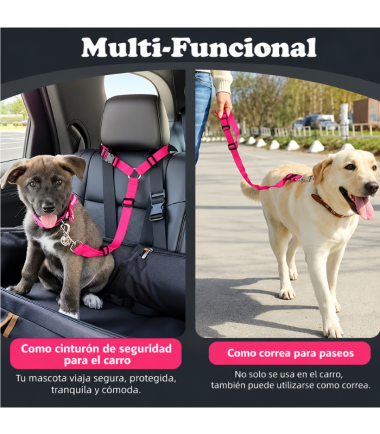 cinturon-para-carro-perros-gatos-costa-rica