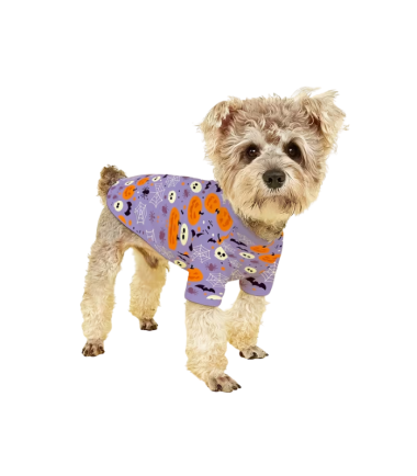 traje-halloween-mascotas-costa-rica