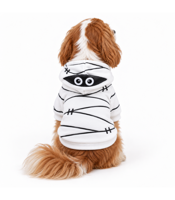 disfraz-momia-halloween-perros-gatos-costa-rica traje-halloween-mascotas-costa-rica
