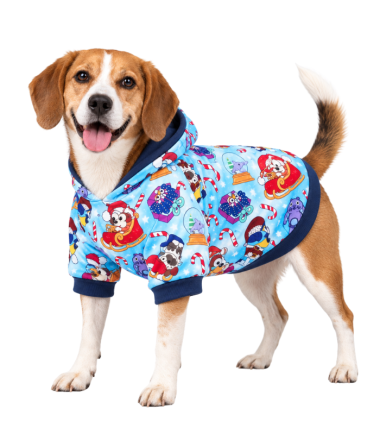 abrigo-de-navidad-perros-gatos-costa-rica