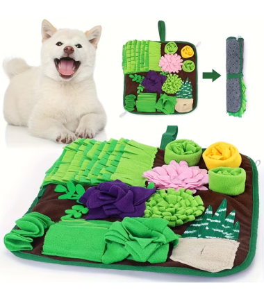 alfombra-interactiva-perros-gatos-costa-rica