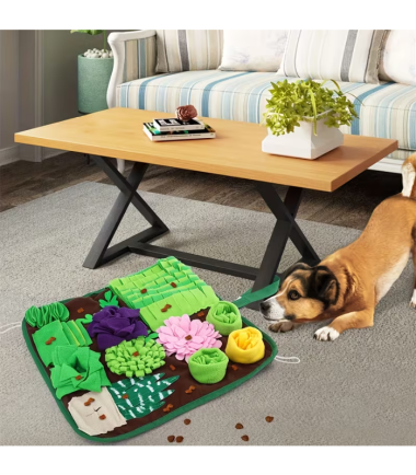 alfombra-interactiva-perros-gatos-costa-rica