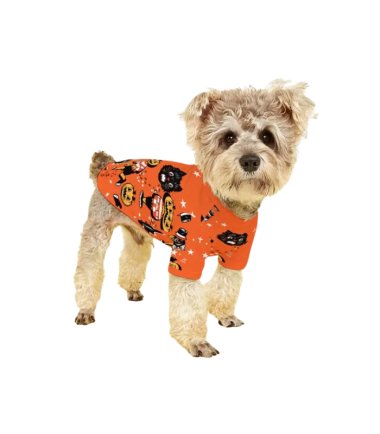 traje-halloween-mascotas-costa-rica