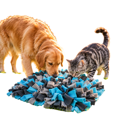 alfombra-interactiva-perros-gatos-costa-rica