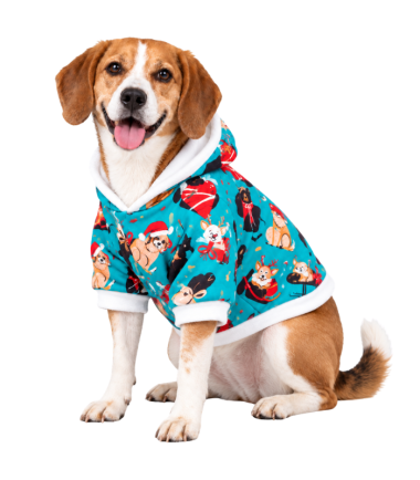 abrigo-de-navidad-perros-gatos-costa-rica