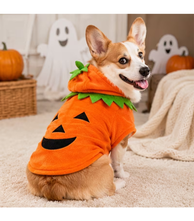 traje-halloween-mascotas-costa-rica