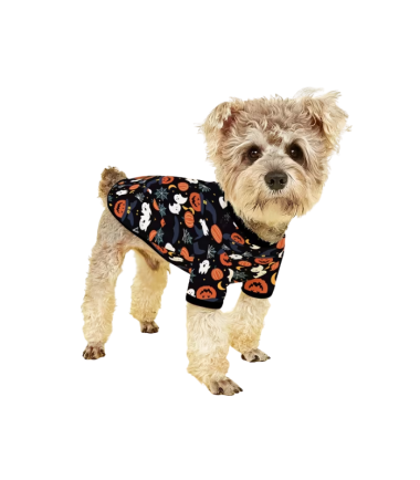 traje-halloween-mascotas-costa-rica