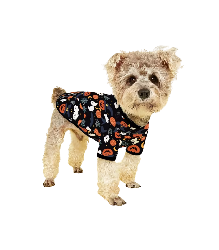 Camisa-telarañas-halloween-perros-gatos-costa-rica traje-halloween-mascotas-costa-rica