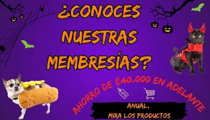 Banner_movil_membresias_hallowen