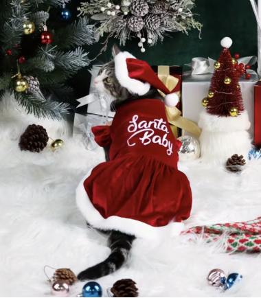 vestido-navidad-mascotas-costa-rica