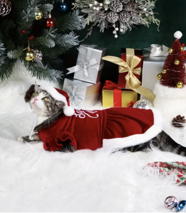 vestido-navidad-mascotas-costa-rica