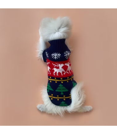 abrigo-de-navidad-perros-costa-rica