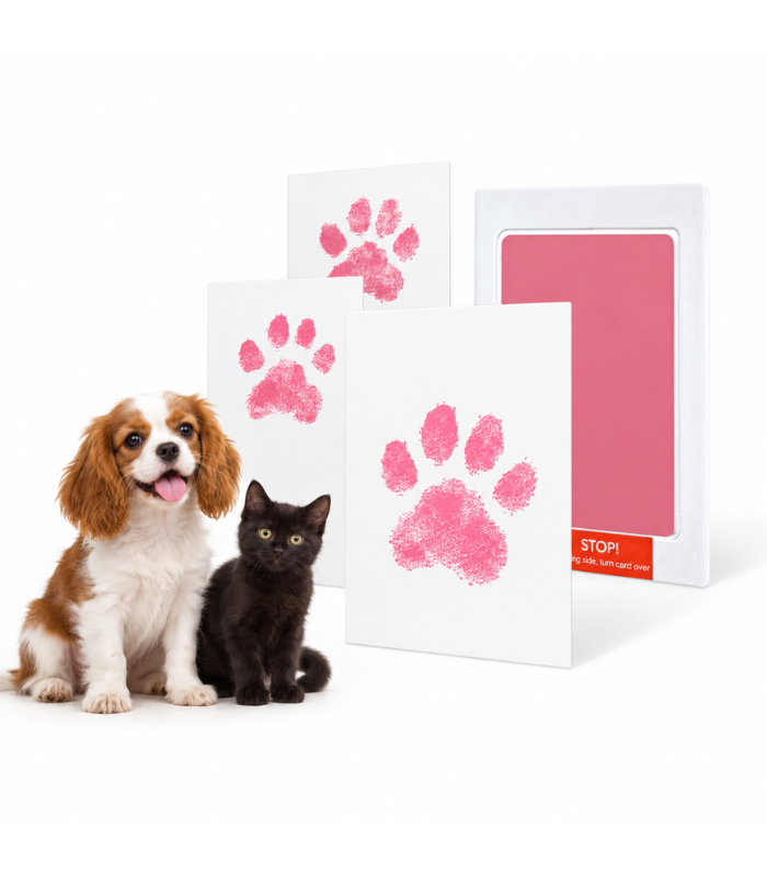 kit-huellas-patitas-perros-gatos-costa-rica