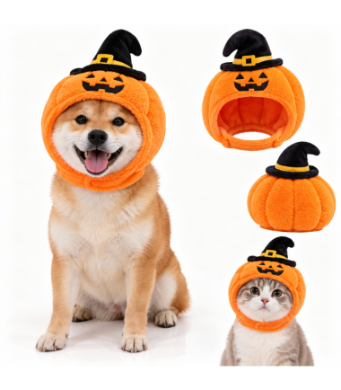 disfraz-halloween-perros-gatos-costa-rica