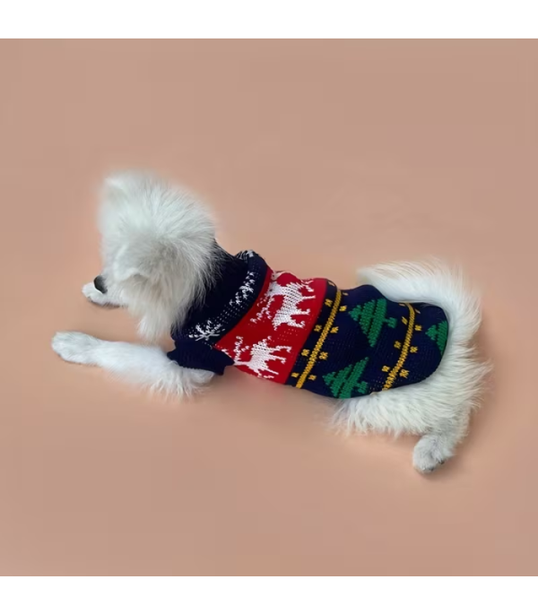 abrigo-de-navidad-perros-costa-rica