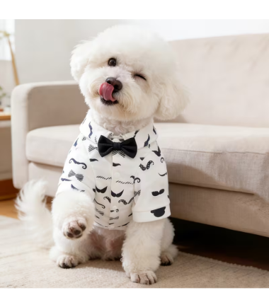 camisa-elegante-perros-gatos-costa-rica