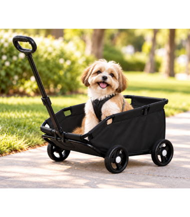 coche-transportador-perros-gatos-costa-rica