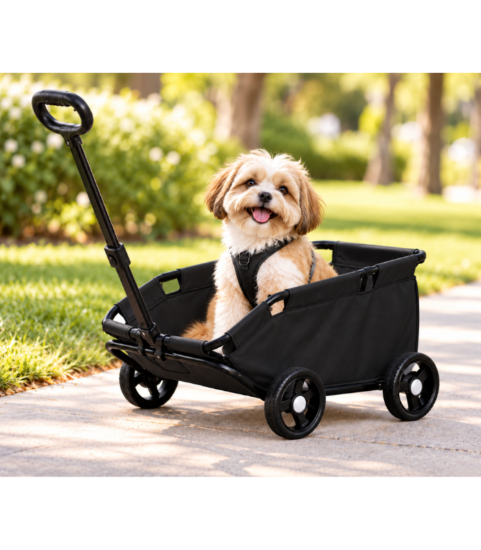 carro-transportador-mascotas-costa-rica coche-transportador-perros-gatos-costa-rica